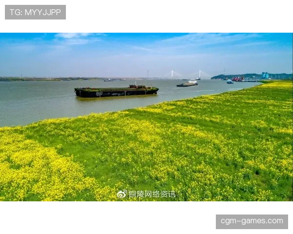 荷兰2026复兴计划启动:新战略重塑国家形象,激发经济新动能 荷兰2026复兴计划启动:新战略重塑国家形象,激发经济新动能